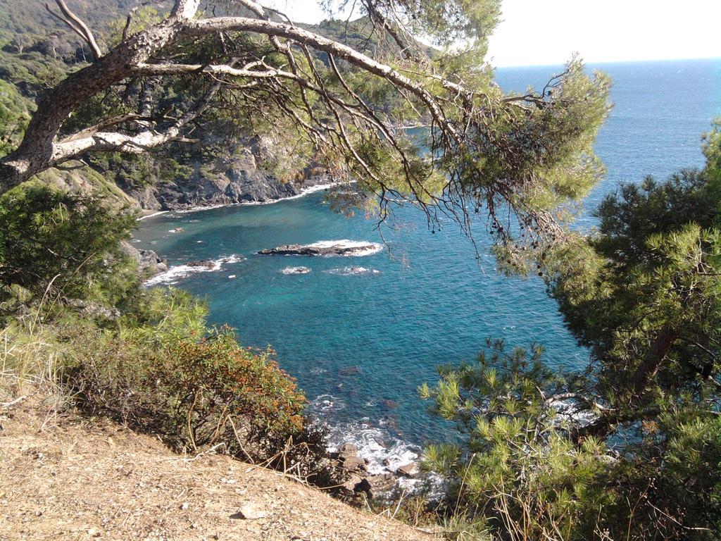 La Petite Maison De Melanie 30M Mer Six-Fours-les-Plages Zewnętrze zdjęcie